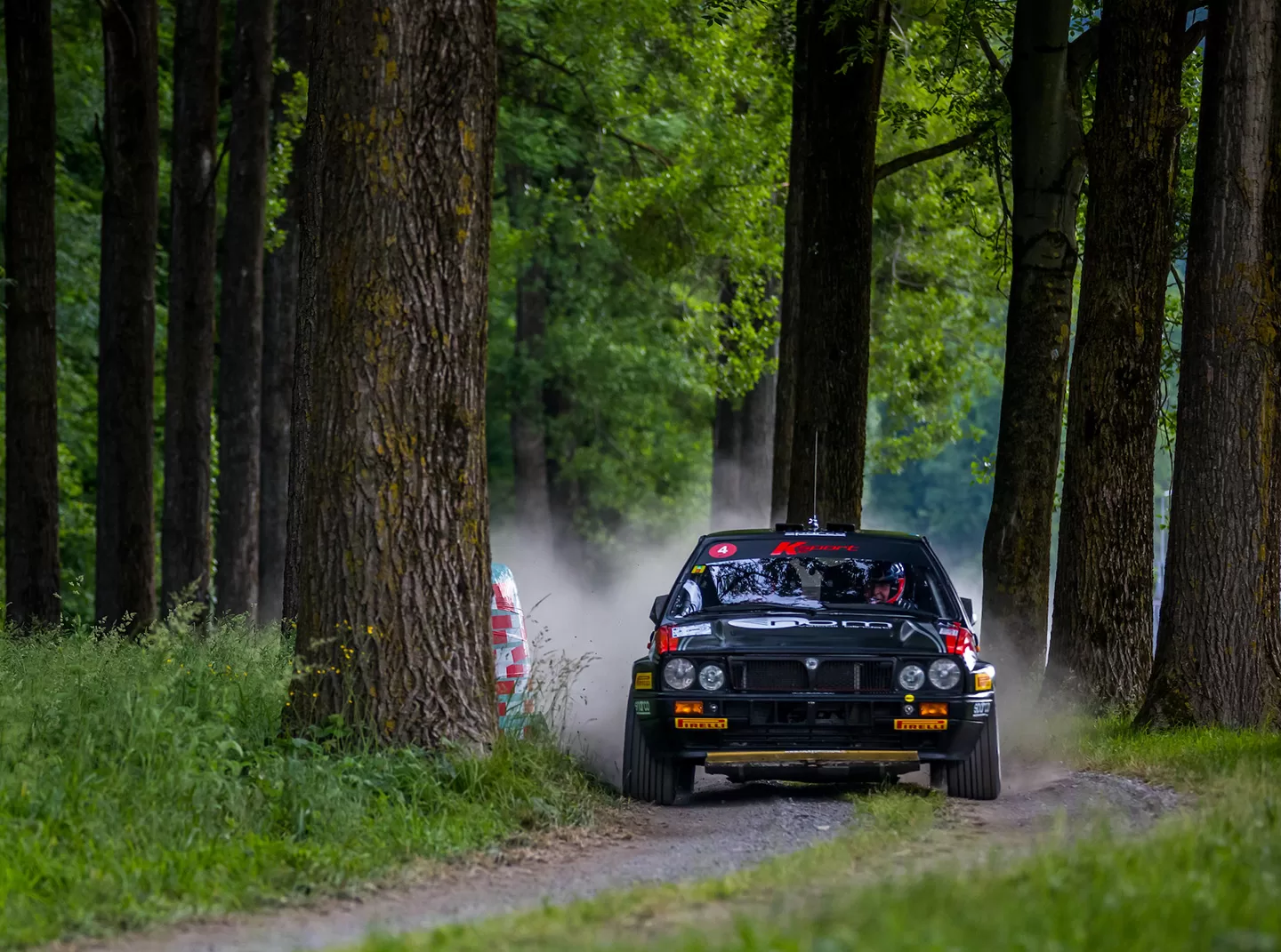 Black car driving through wooded area