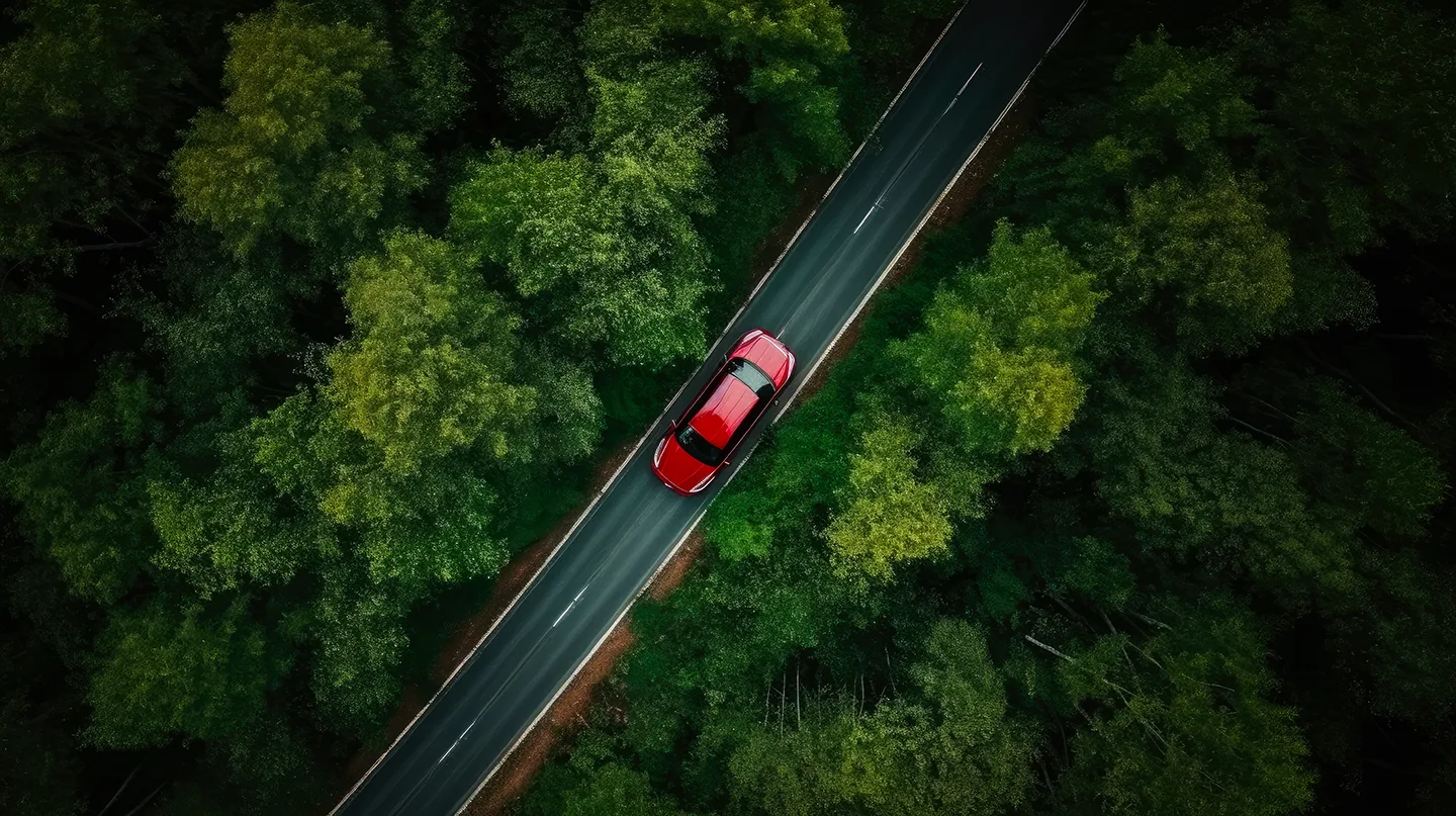 Red car drives through trees