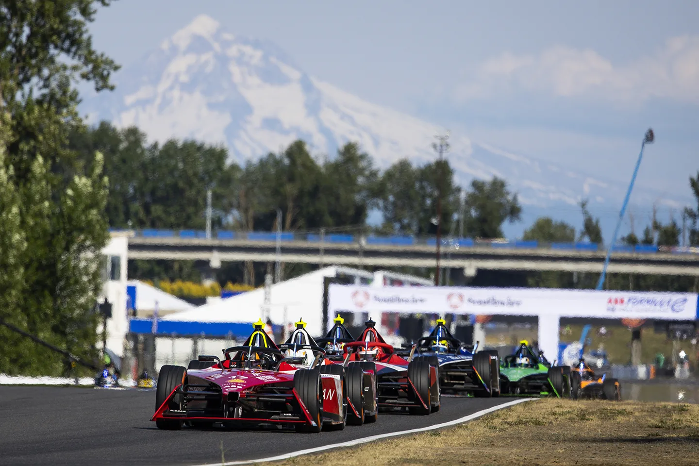 Racing cars in a line