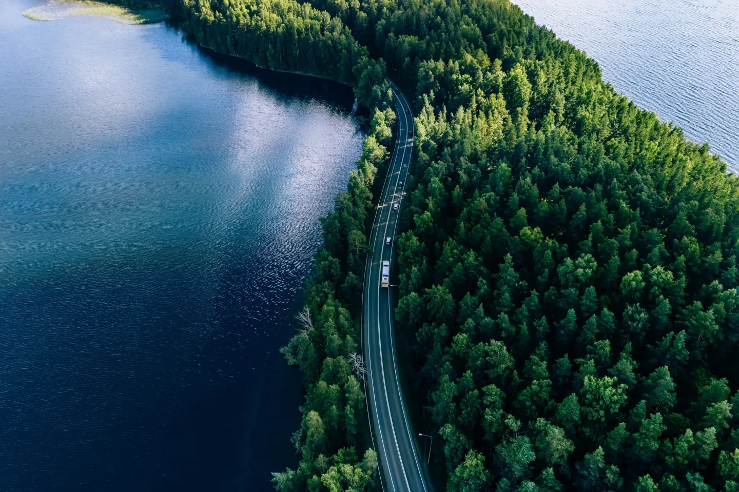 Car drives through trees on an island, surrounded on either side by water