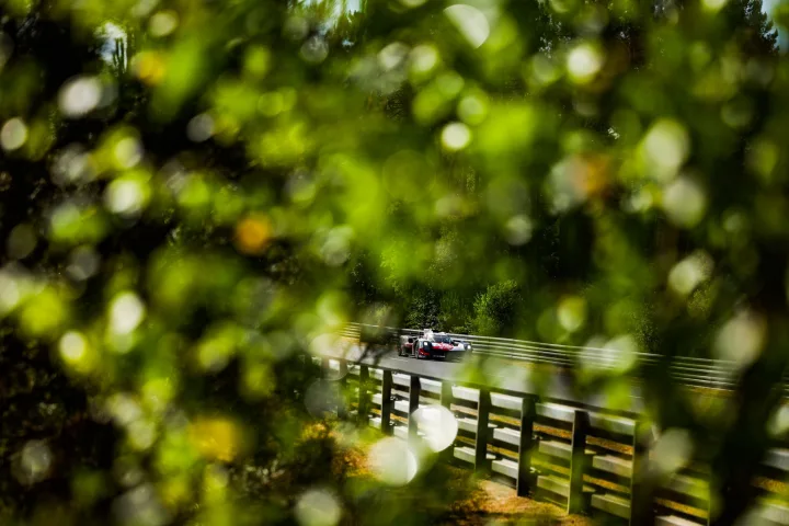 Racing car can be seen through the trees